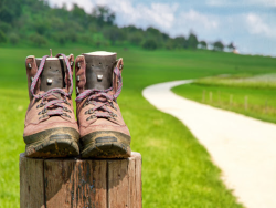 Génération mouvement