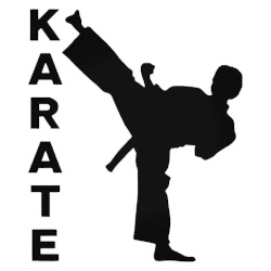 Patriote Section Karaté