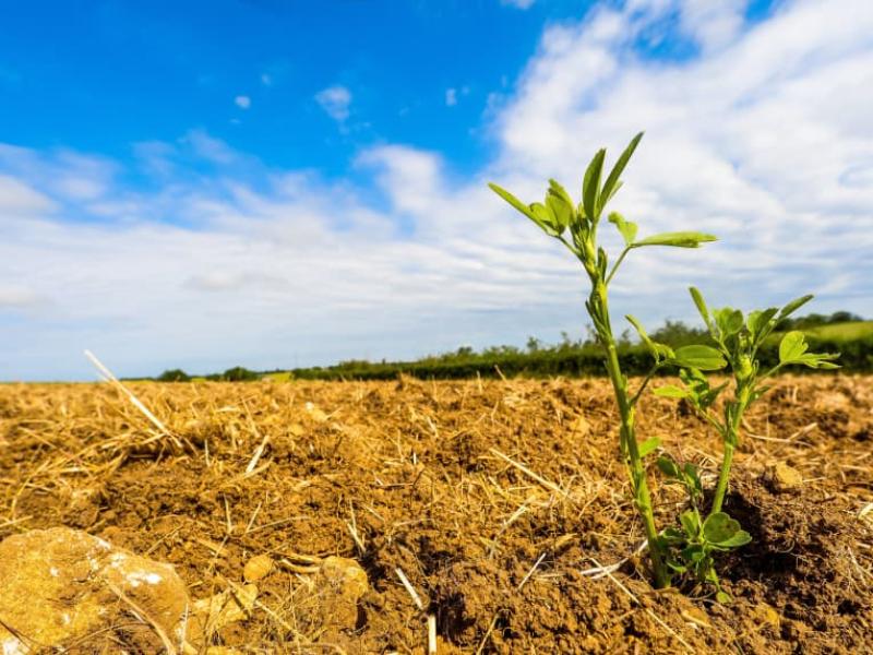 Le bassin de la Vive Parence en situation d'alerte